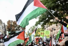 نصرة فلسطين