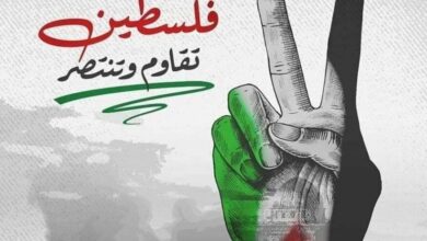 فلسطين تقاوم وتنتصر