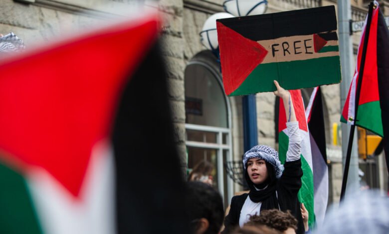 فتاة ترفع علم علم فلسطين