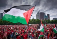 متظاهرون يرفعون أعلام فلسطين خلال أكبر تظاهرة في هولندا خلال 20 عاماً بمدينة لاهاي احتجاجاً للحرب الصهيونية على قطاع غزة