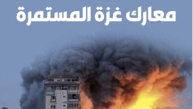معارك غزة المستمرة – العدد 431