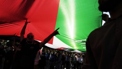 متضامن يرفع علم فلسطين