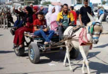 على عربة حمار.. هربًا من الموت - قطاع غزة